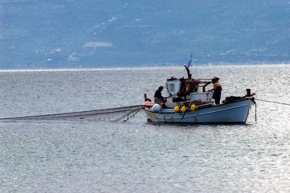 Εμπορικός πόλεμος της Τουρκίας στα ελληνικά ψάρια